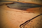 C360_2011-07-22 08-51-02